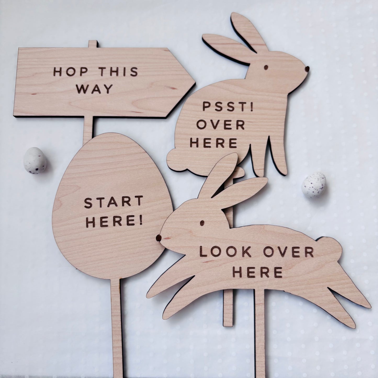 Easter Egg Hunt Sign Set of 4