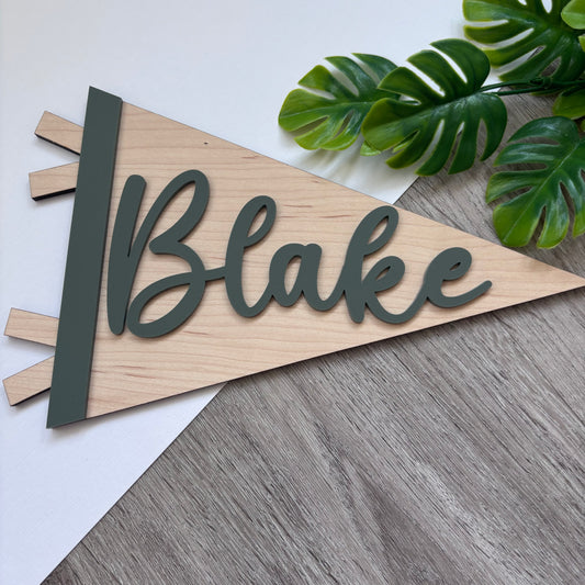 Dino Dude Personalised Plaque and Name Flag