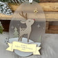 My First Christmas Personalised Rudolf Reindeer  Bauble: Baby’s 1st Christmas Tree Ornament