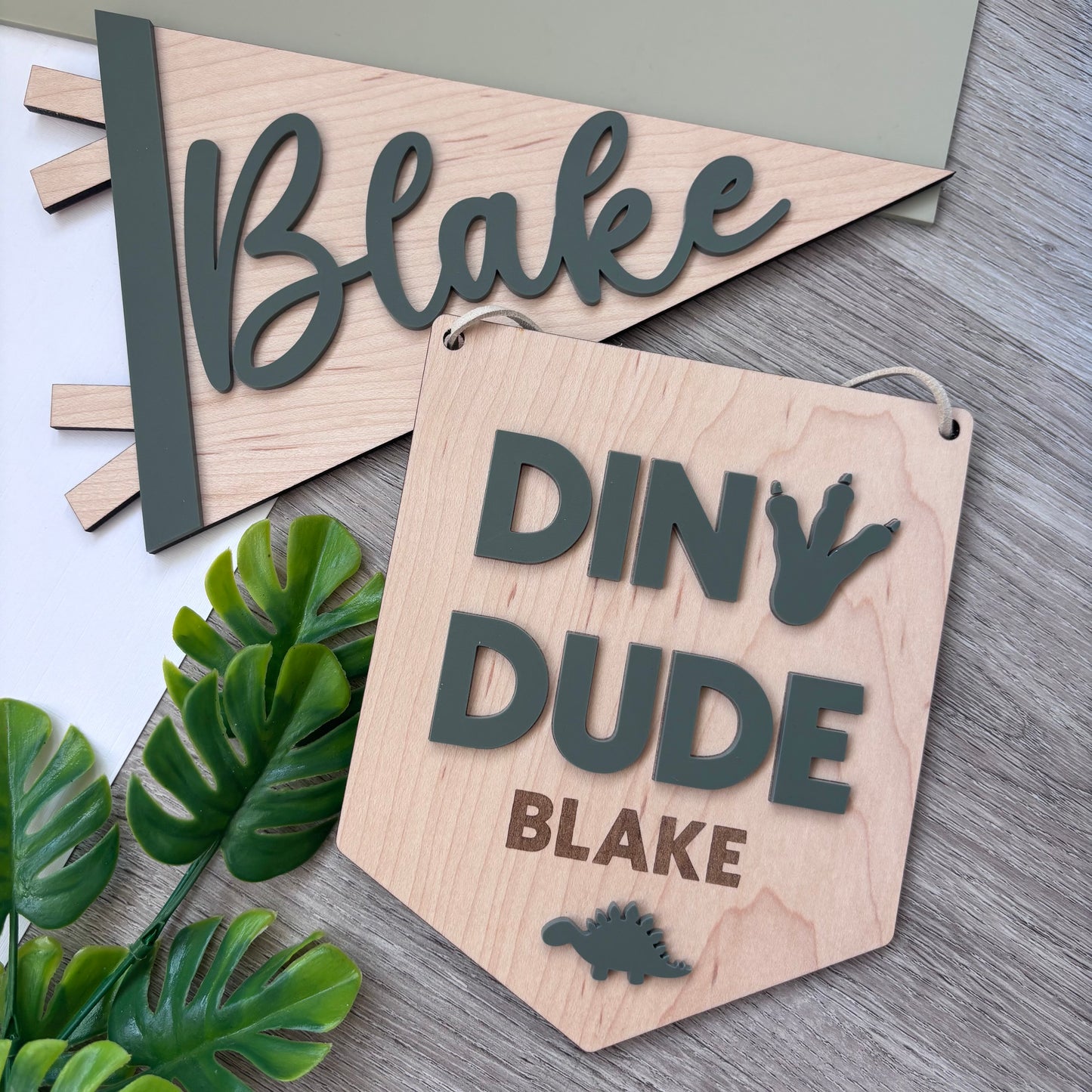 Dino Dude Personalised Plaque and Name Flag