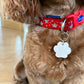 Paw Print Pet Tag - Personalised Acrylic Paw Tag