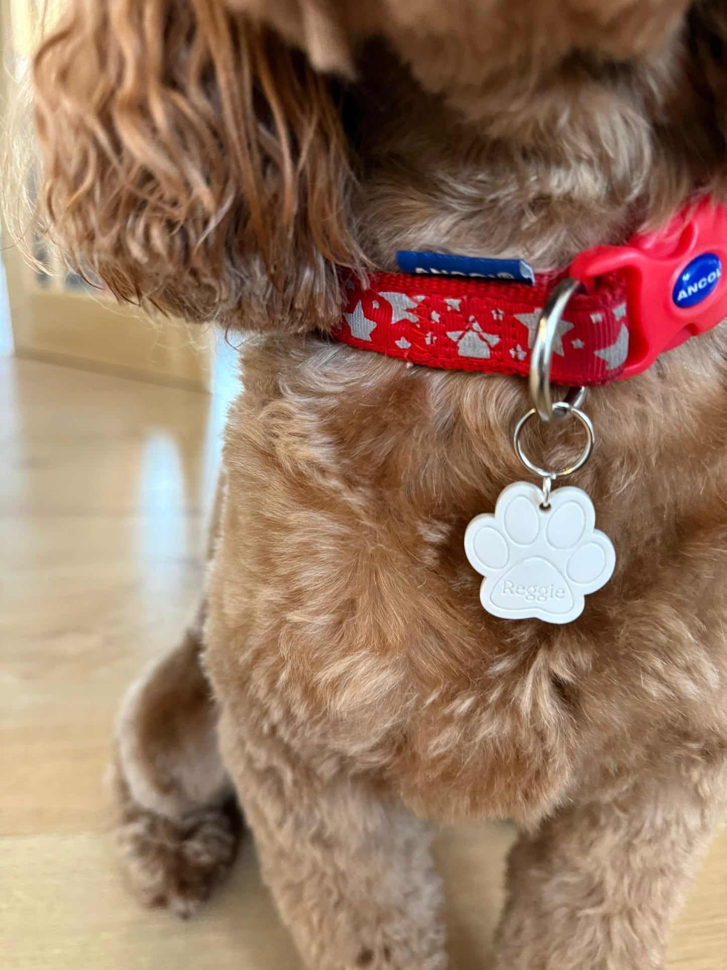 Paw Print Pet Tag - Personalised Acrylic Paw Tag