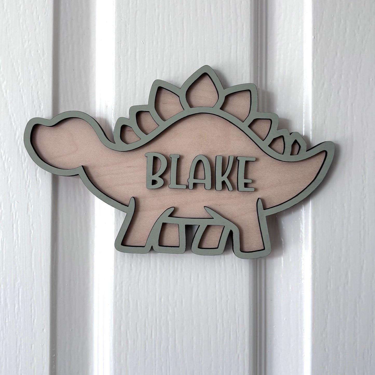 Dinosaur Bedroom Door Personalised Plaque