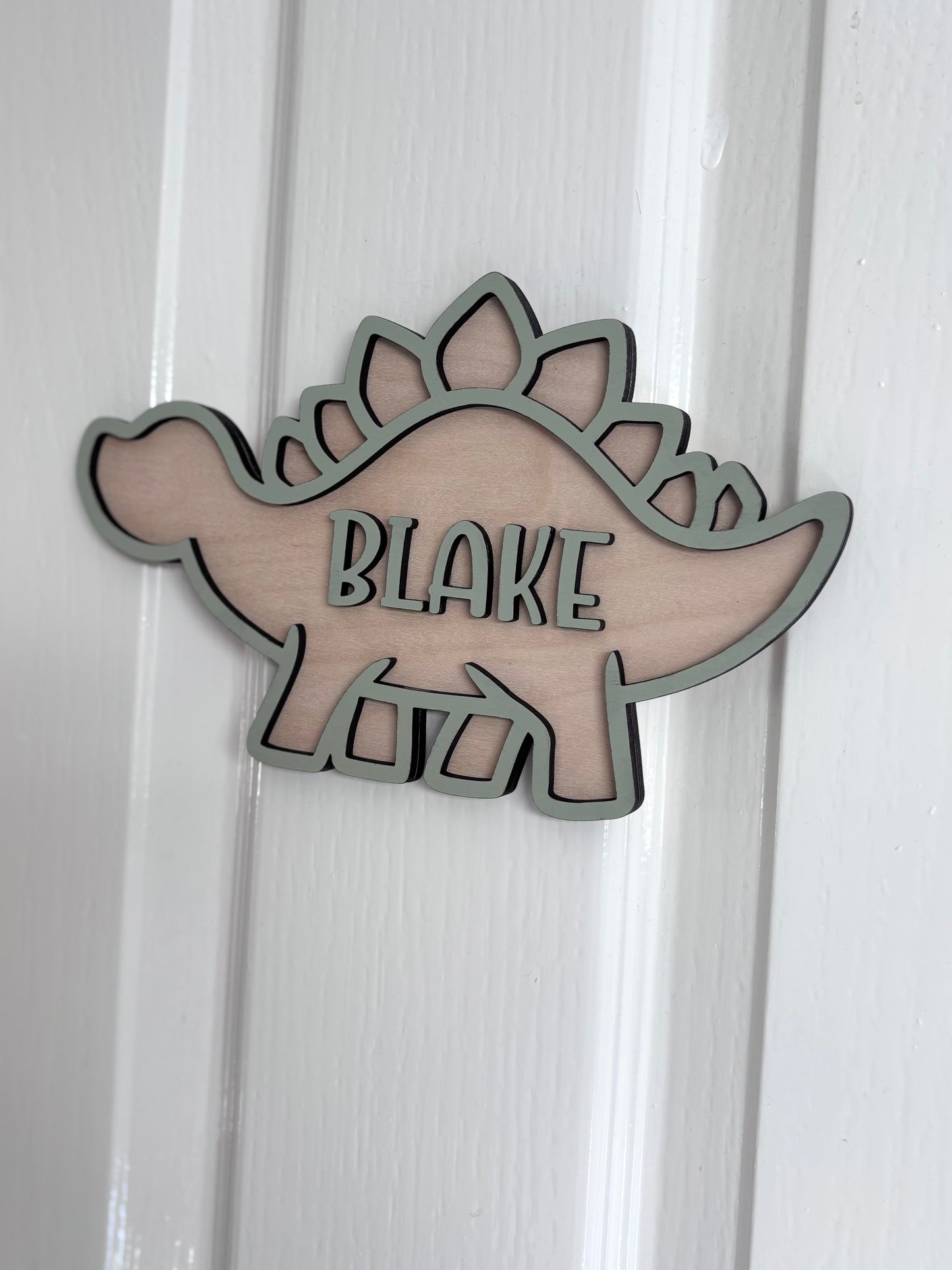 Dinosaur Bedroom Door Personalised Plaque