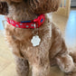 Paw Print Pet Tag - Personalised Acrylic Paw Tag