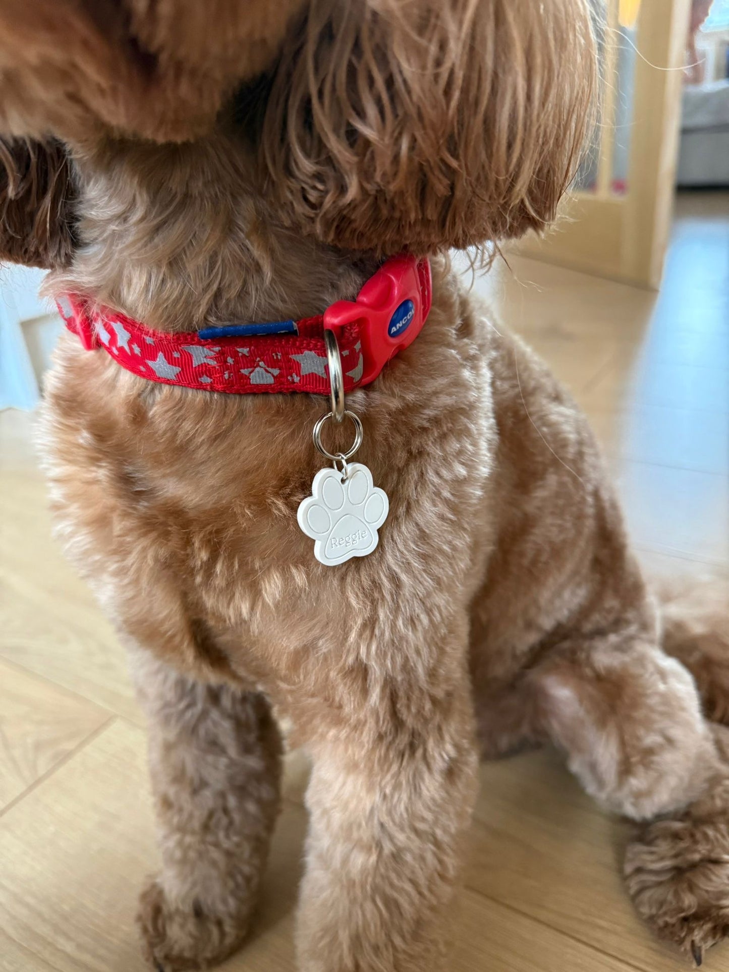Paw Print Pet Tag - Personalised Acrylic Paw Tag