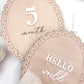 Scallop Wooden Monthly Milestone Markers Set with Chiffon Bow- Baby Gift