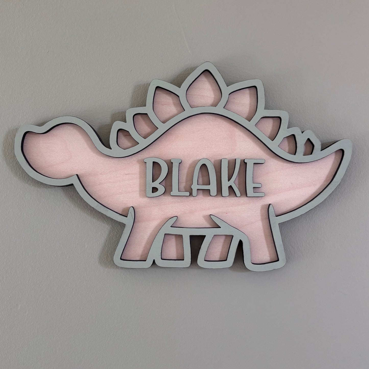 Dinosaur Bedroom Door Personalised Plaque