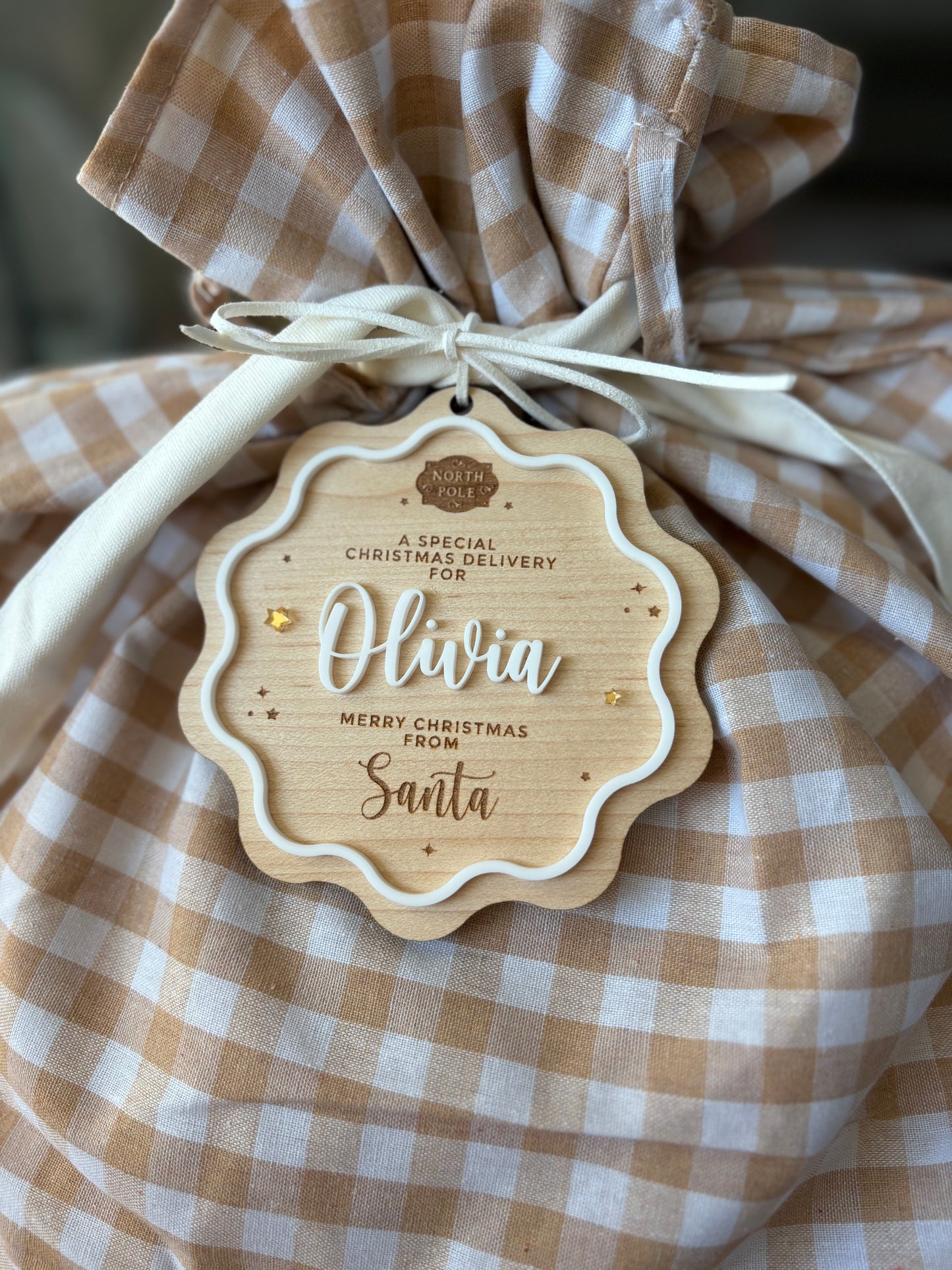 Special Delivery Santa Tag & Plaid Sack