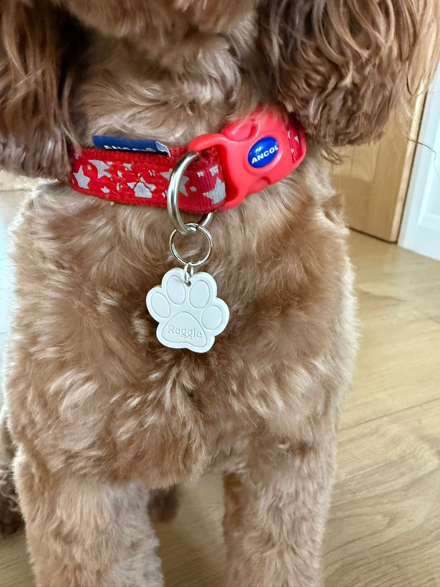 Paw Print Pet Tag - Personalised Acrylic Paw Tag