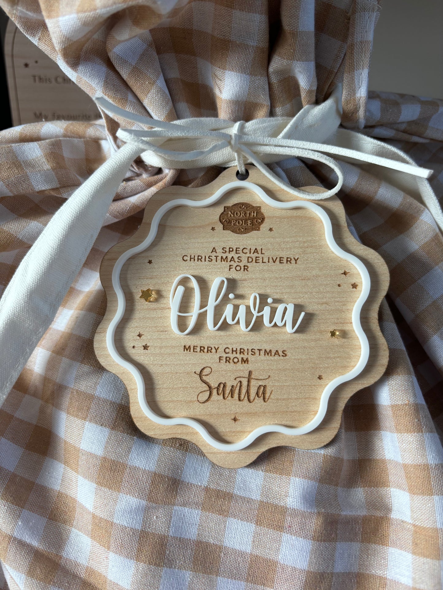 Special Delivery Santa Tag & Plaid Sack