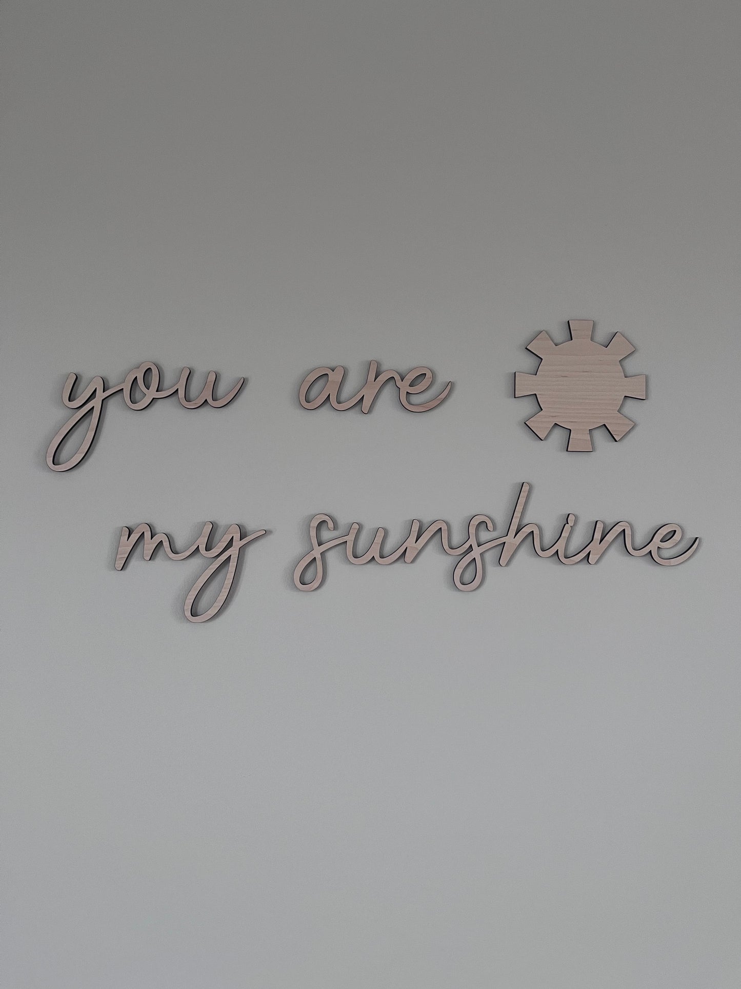 You are my Sunshine - Wooden Wall Word