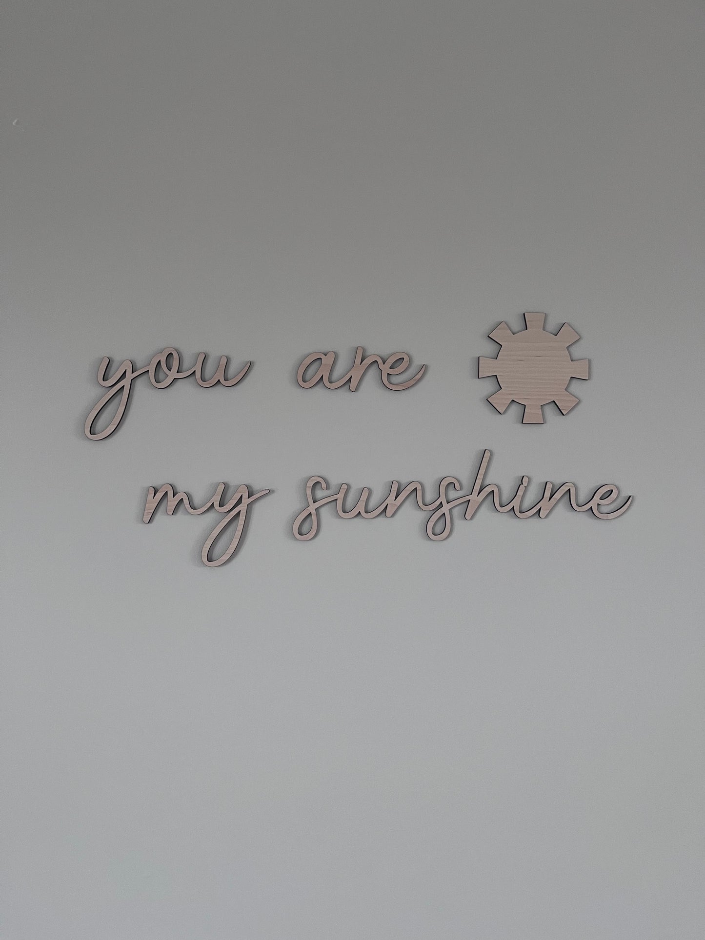 You are my Sunshine - Wooden Wall Word